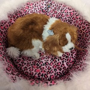 Toy dog and bed